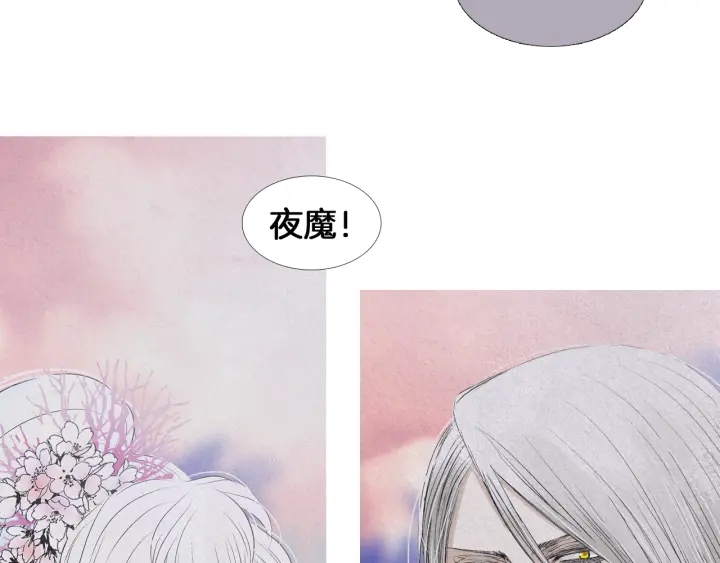 第203话 正式见面46