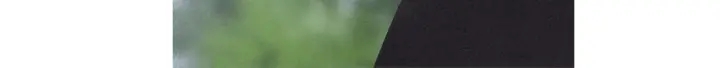 第204话 高贵之人66