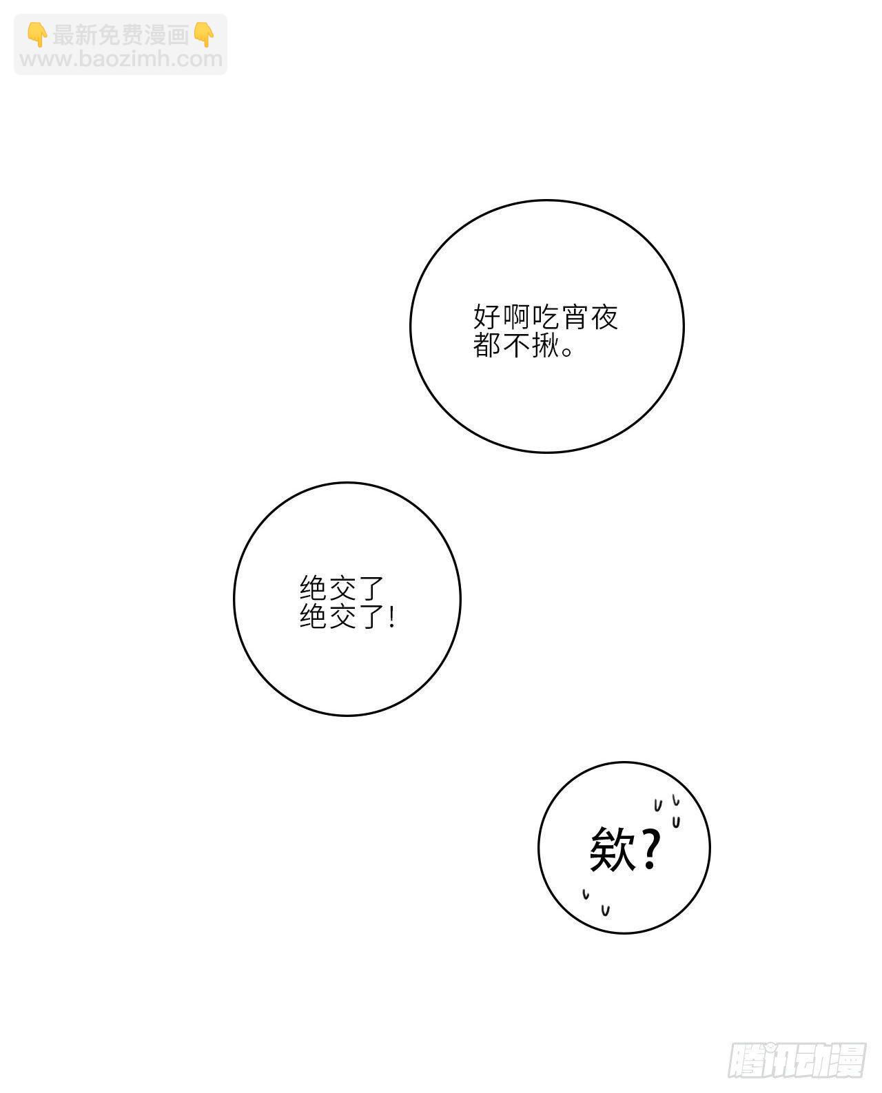 狮子眼中的小巴4