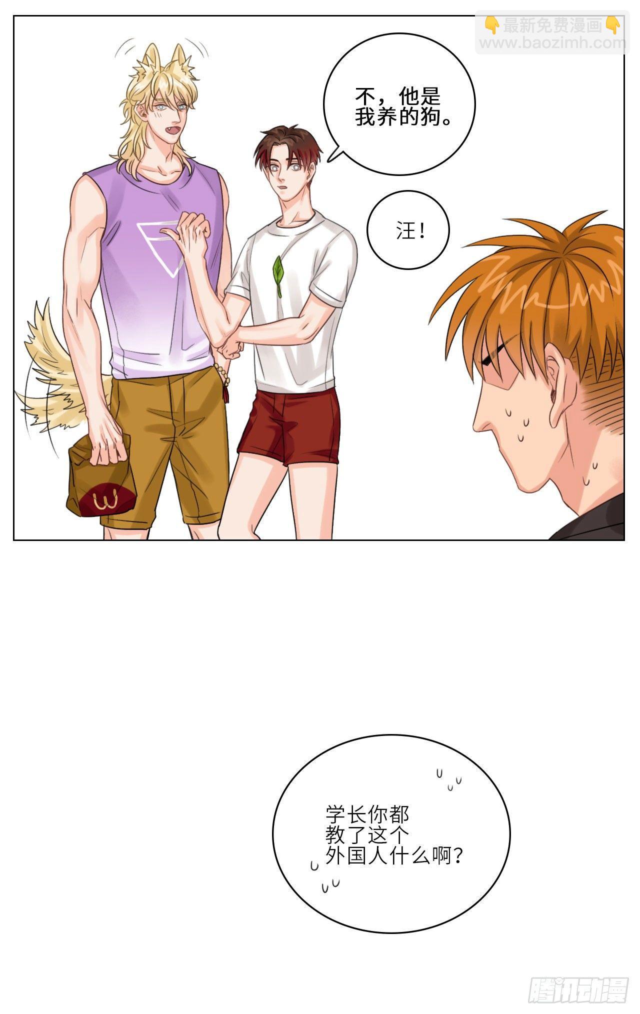狮子眼中的叶子3
