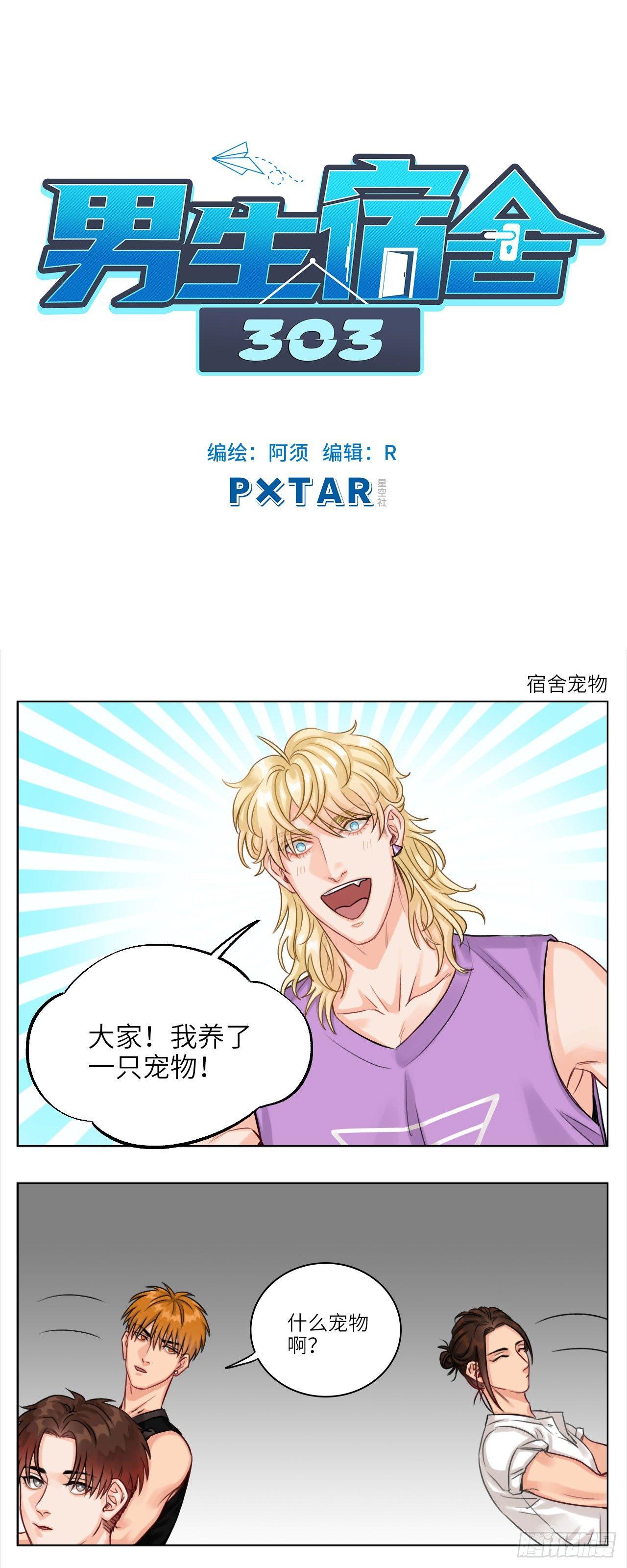 宿舍宠物0