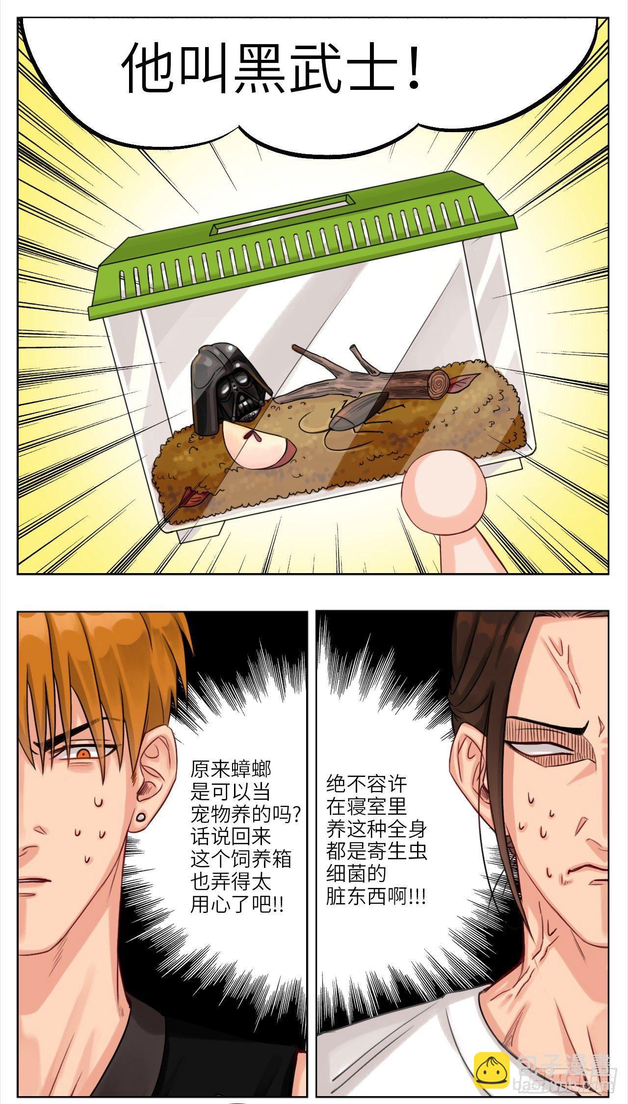 宿舍宠物1