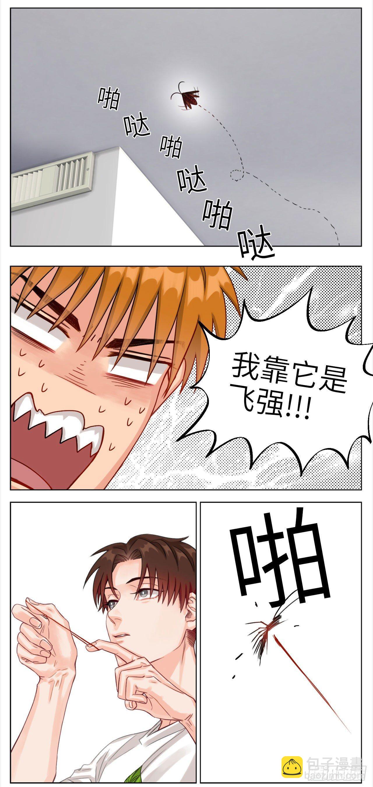 宿舍宠物5