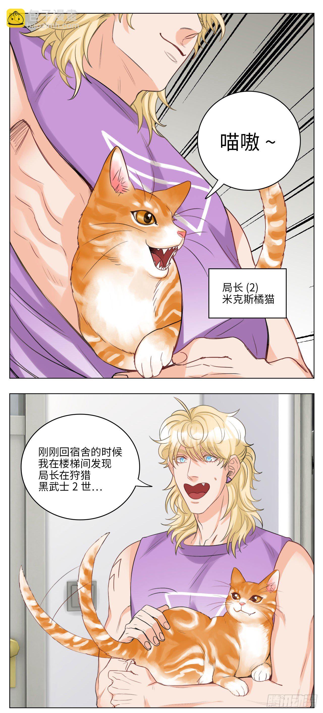 猫奴4