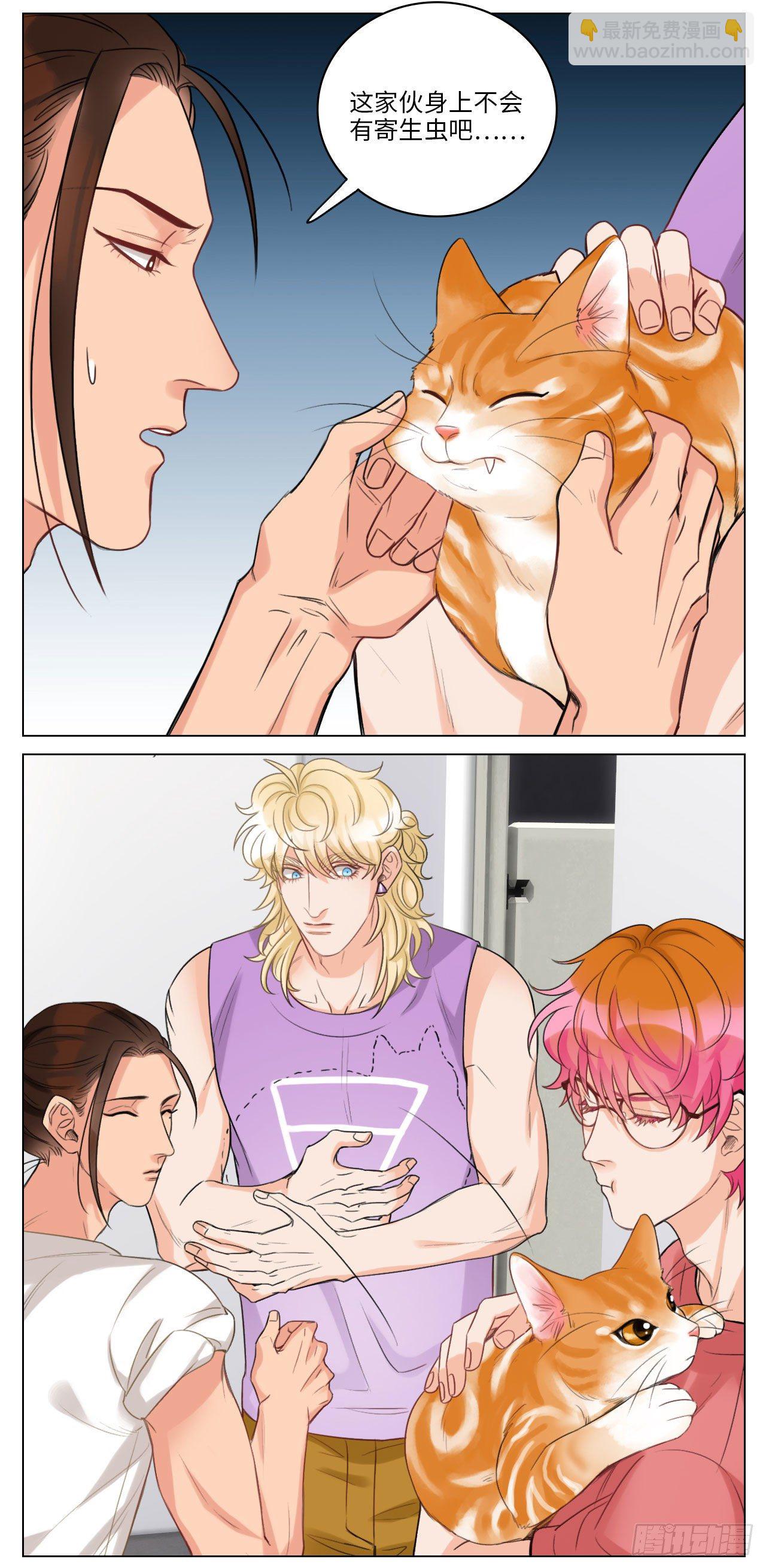 猫奴5