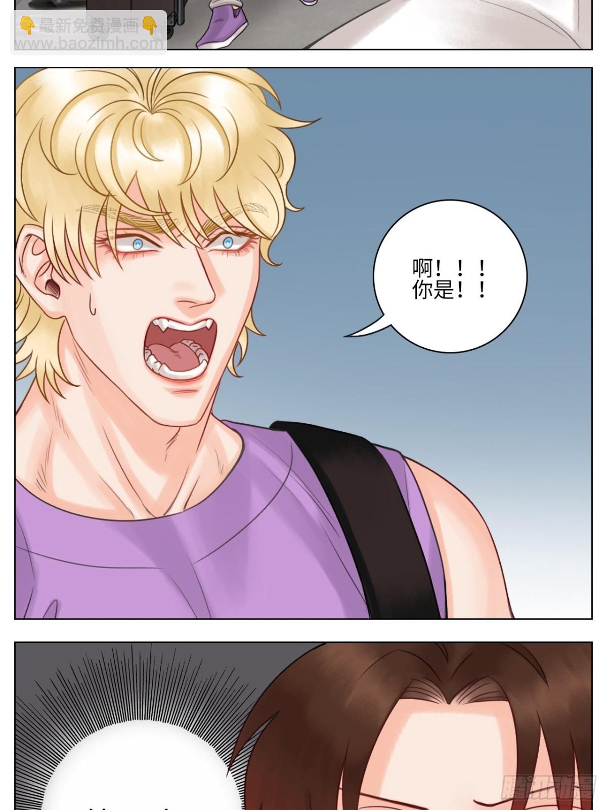 养狗现场5