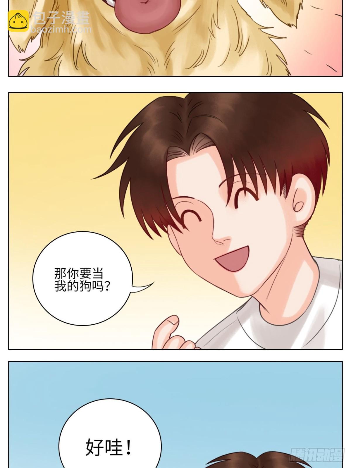 养狗现场9
