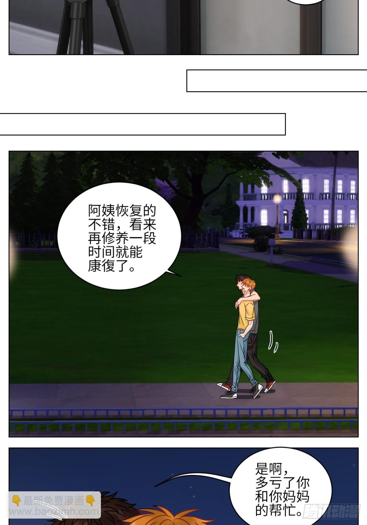 “巴叶”cp11