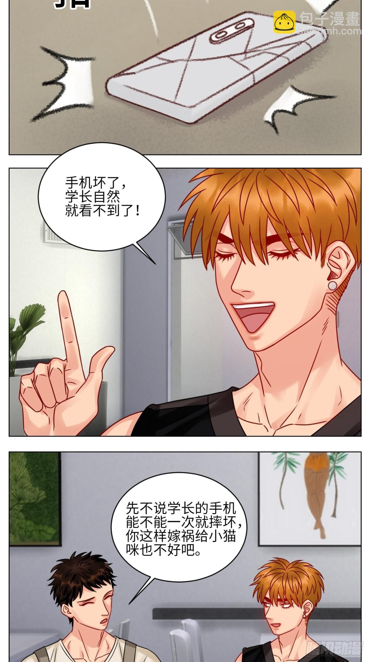 真巴叶粉，出击！10