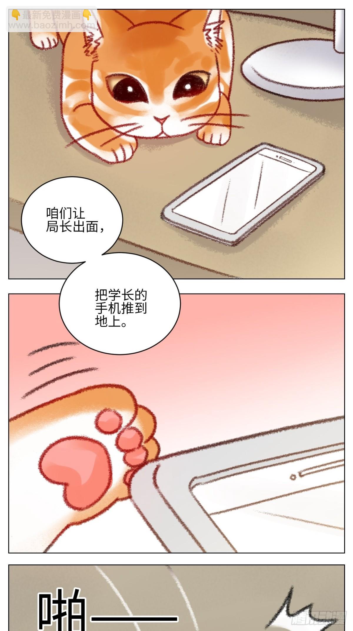 真巴叶粉，出击！9
