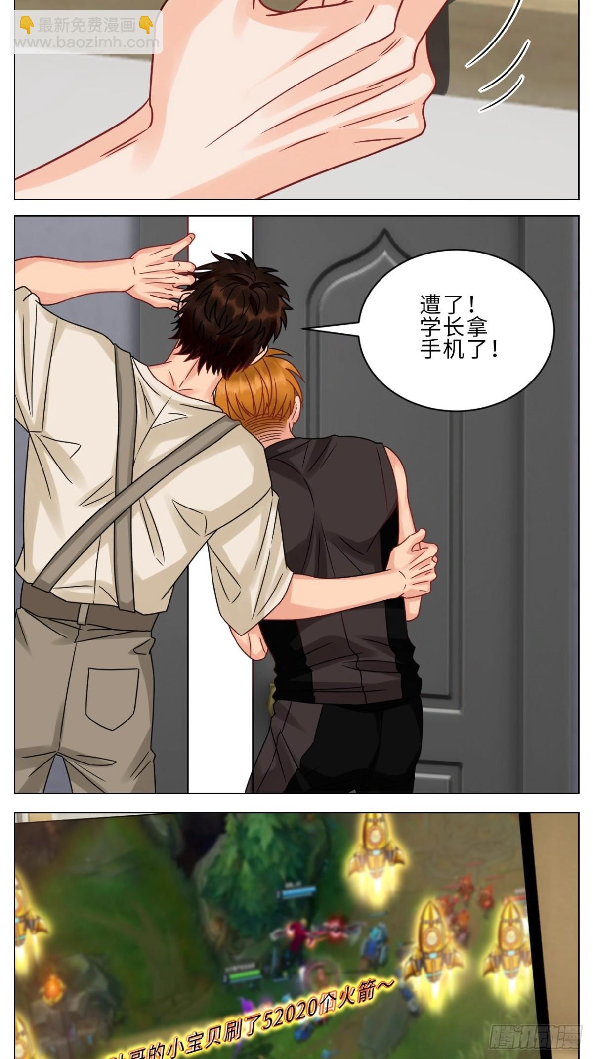 保护我方叶子！6