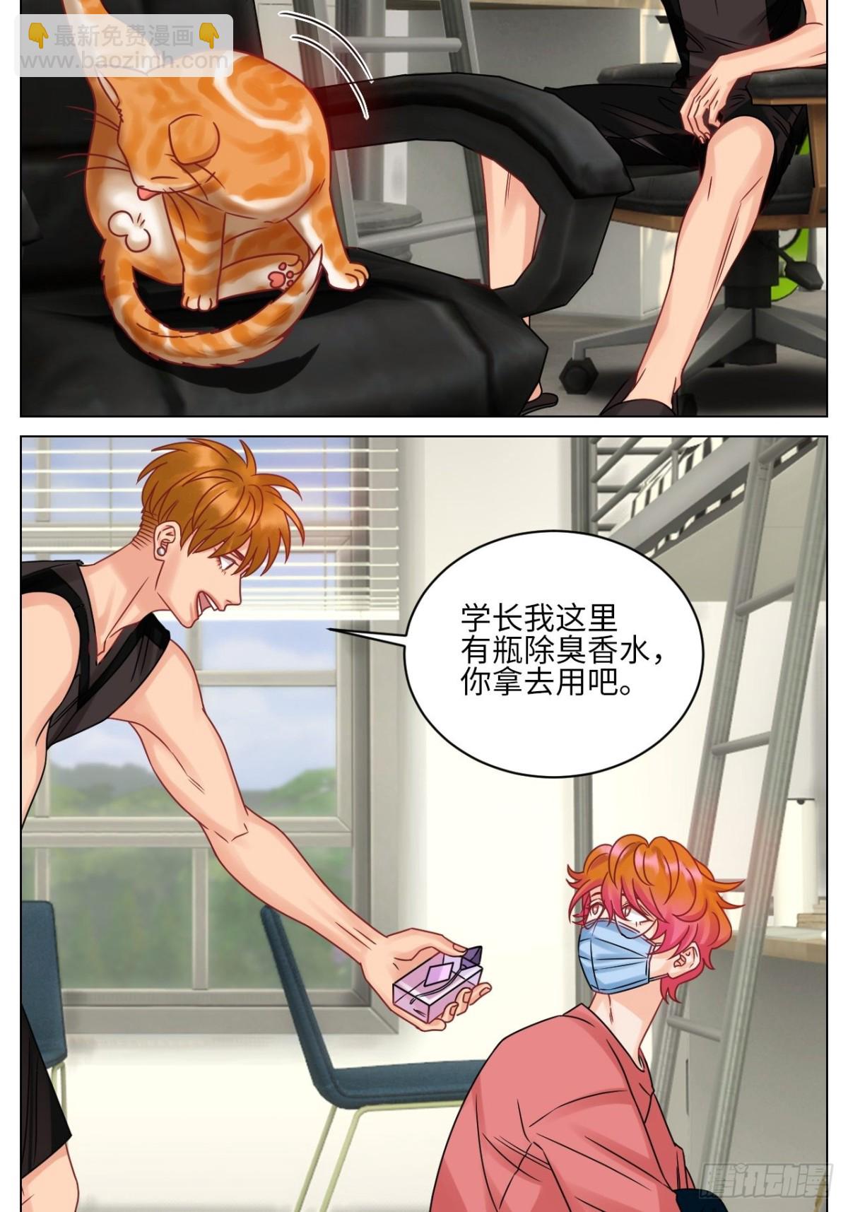 关于狮子买的香水，又惹事了4