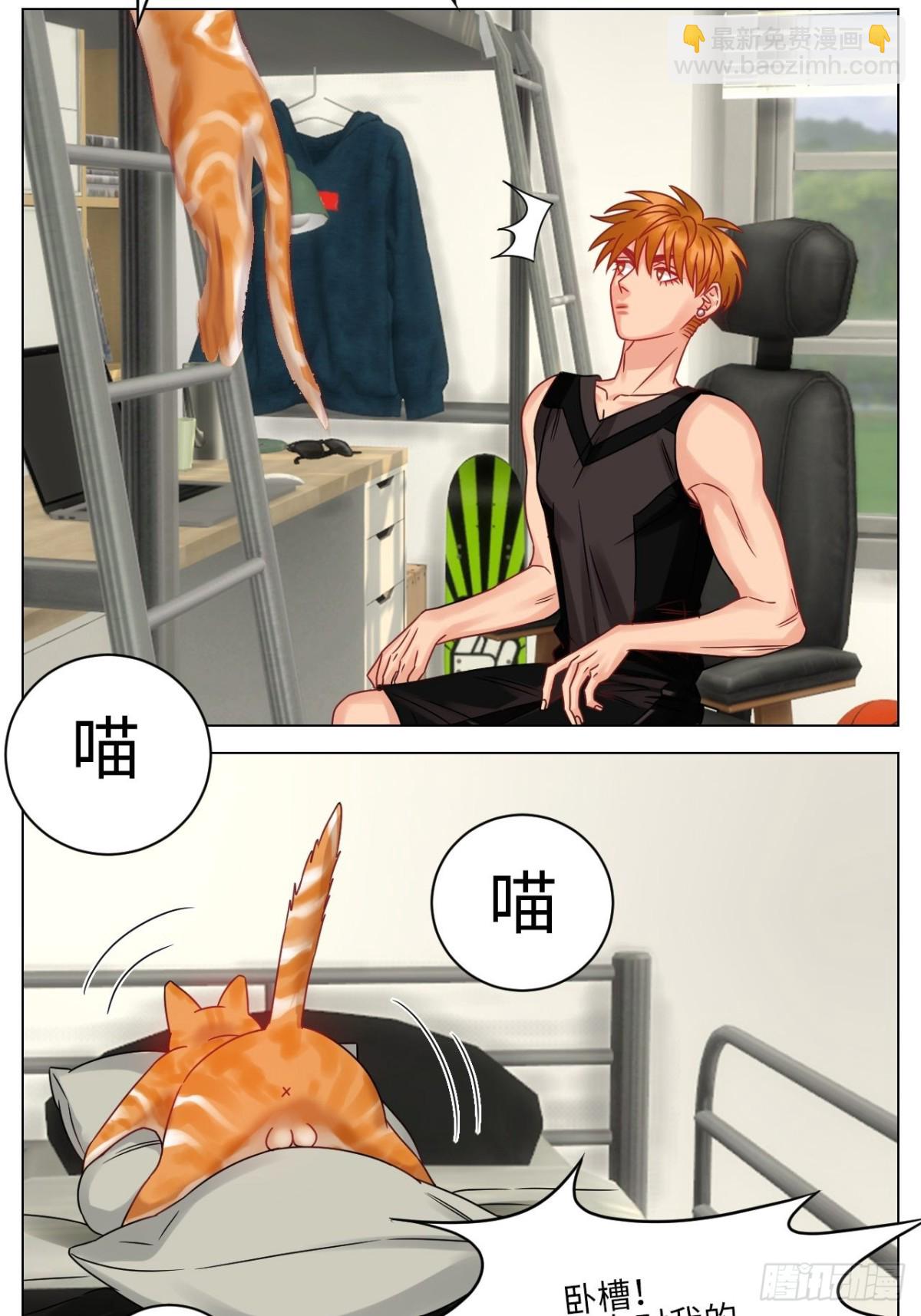 关于狮子买的香水，又惹事了8
