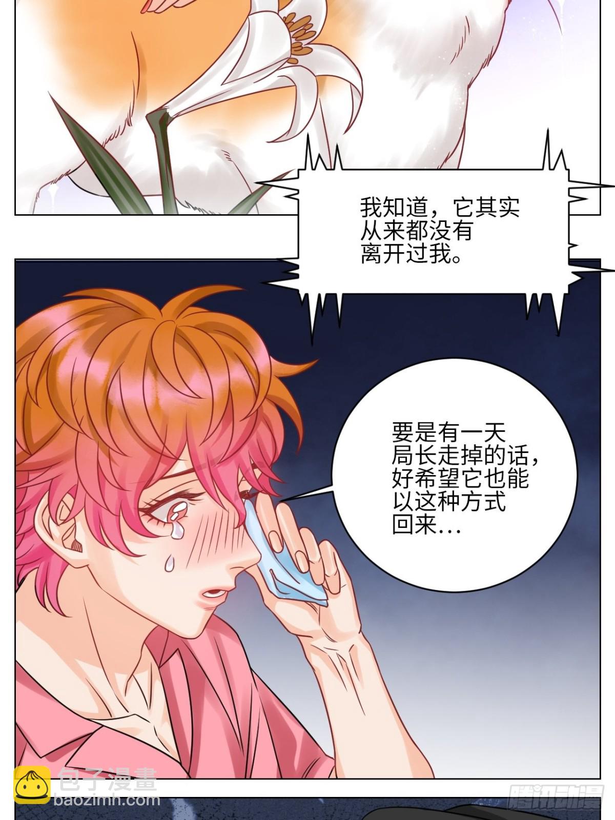 名侦探狮子13