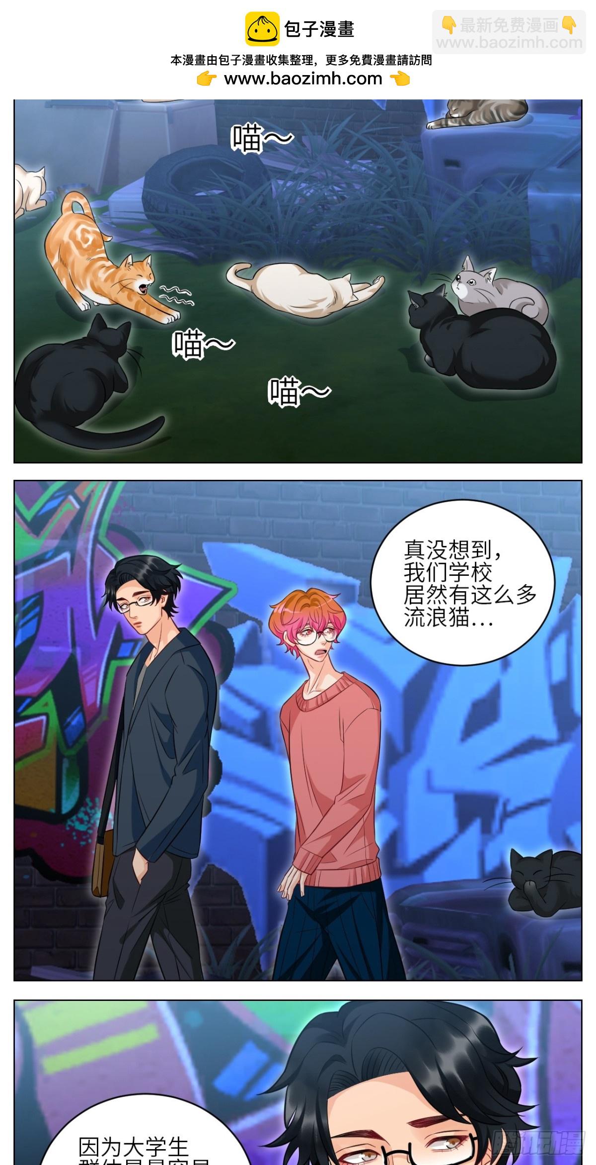 找到的可不止小猫咪1