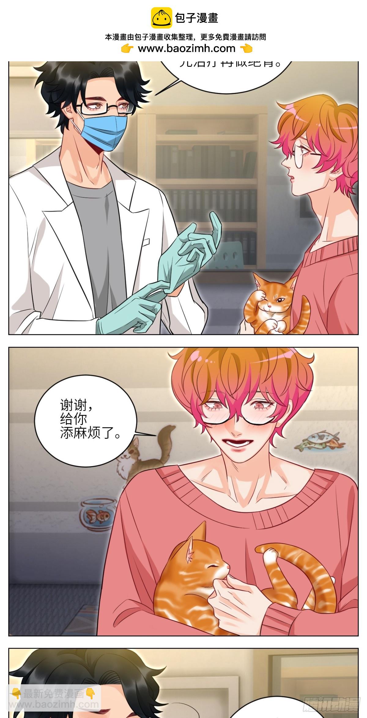 找到的可不止小猫咪10