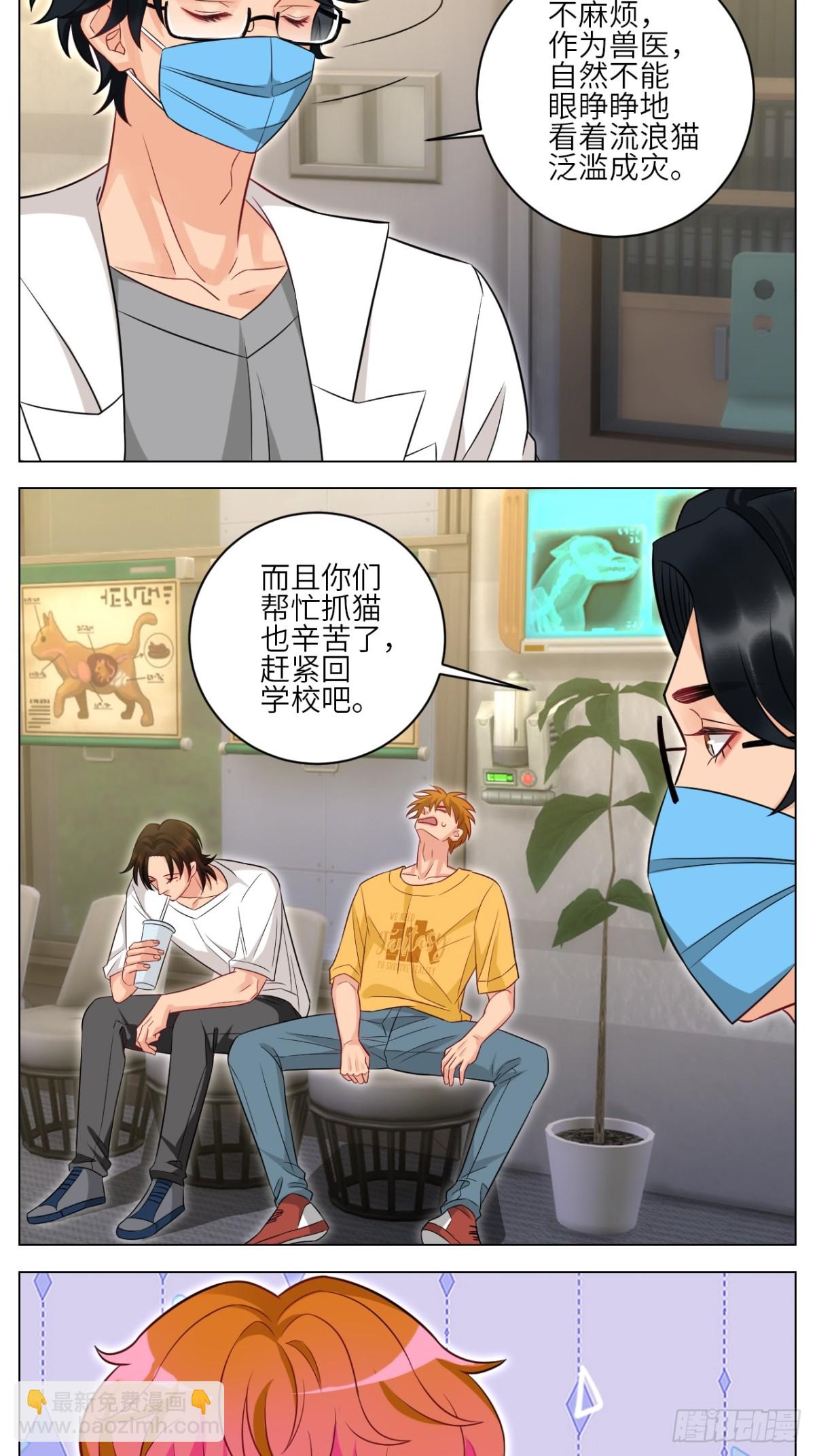 找到的可不止小猫咪11