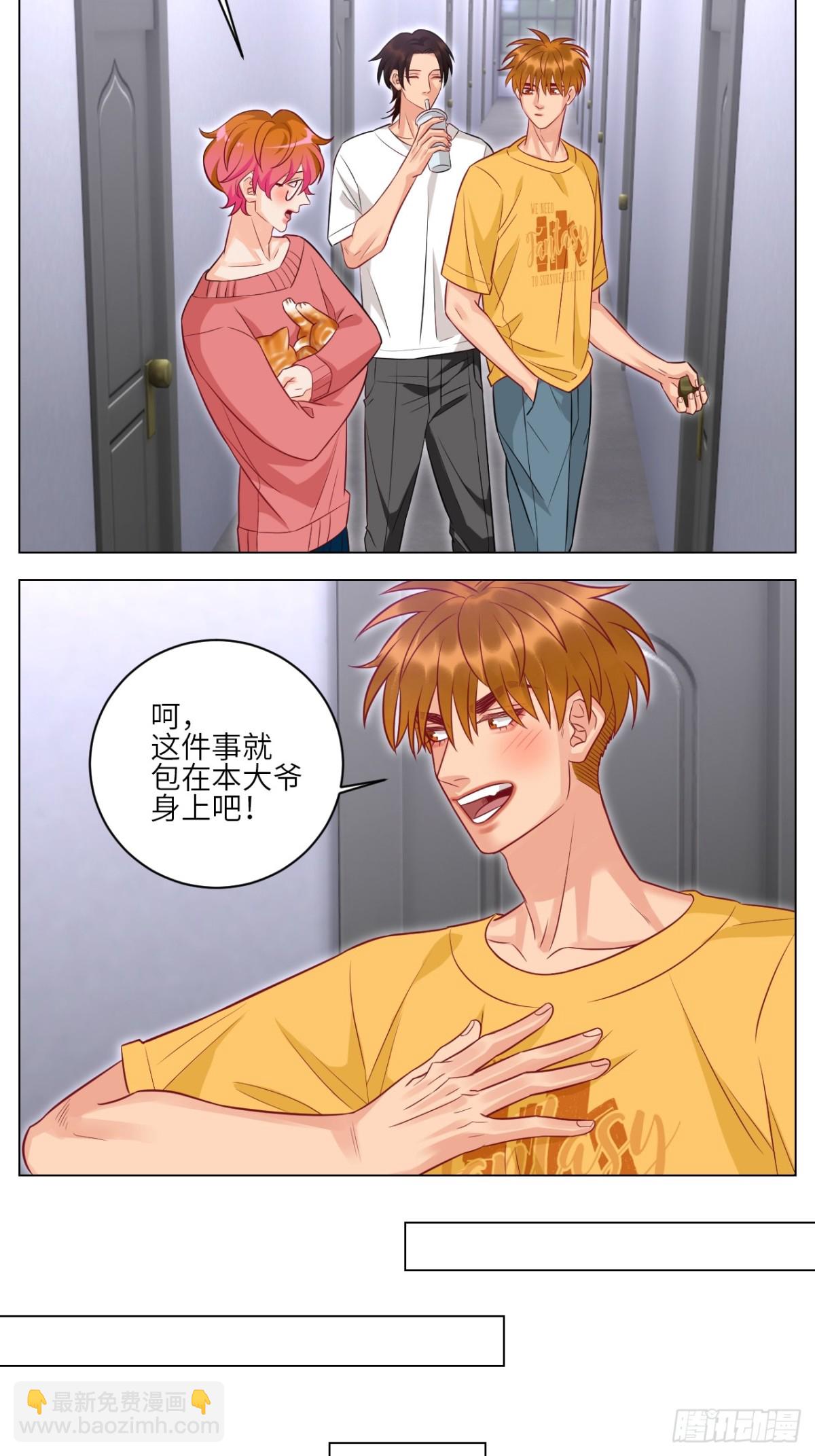 找到的可不止小猫咪13