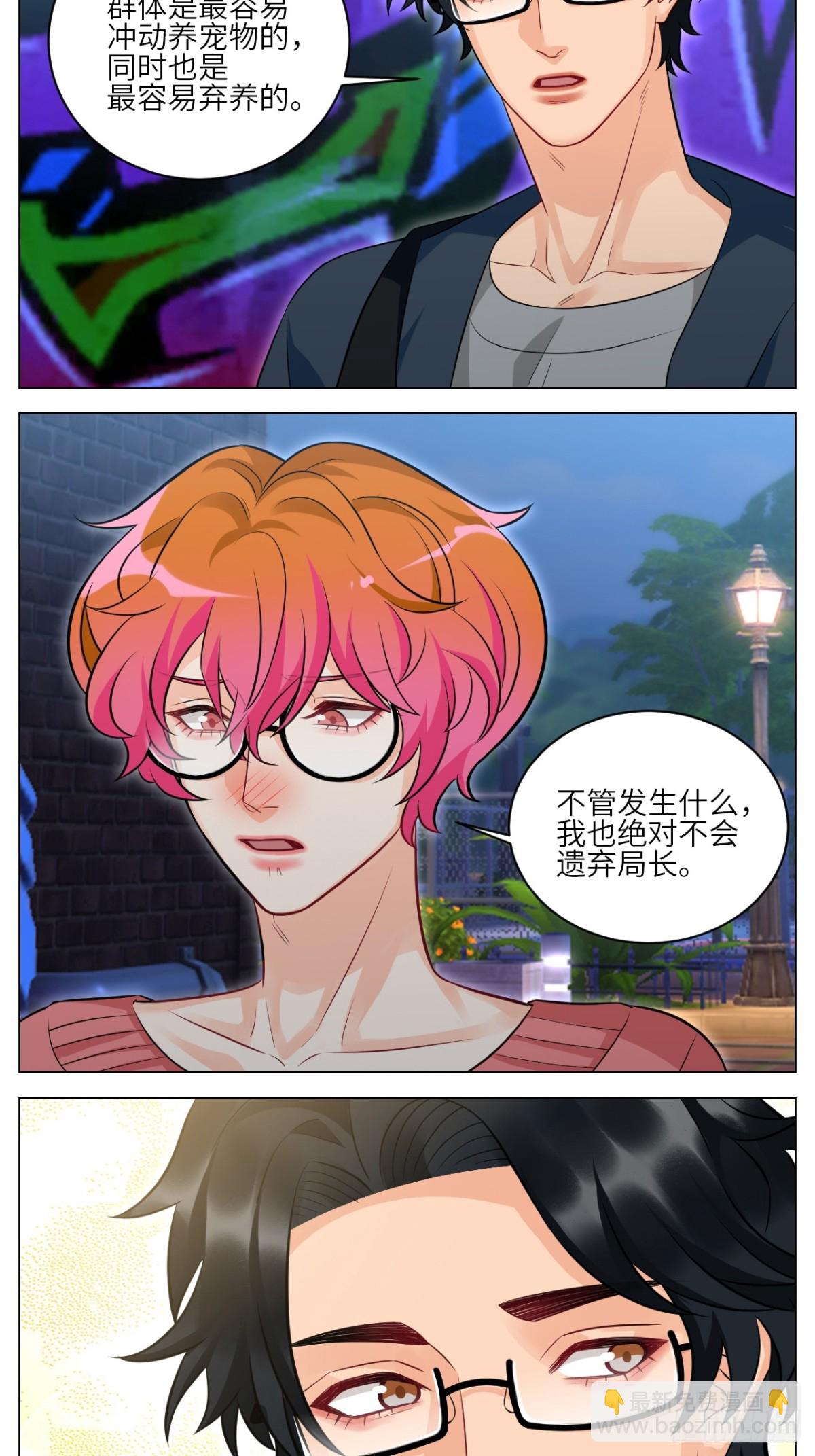 找到的可不止小猫咪2