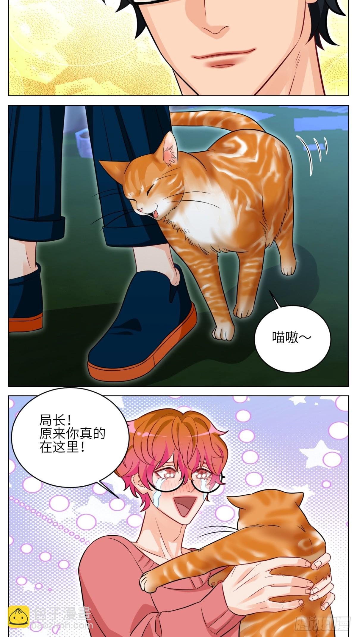找到的可不止小猫咪3