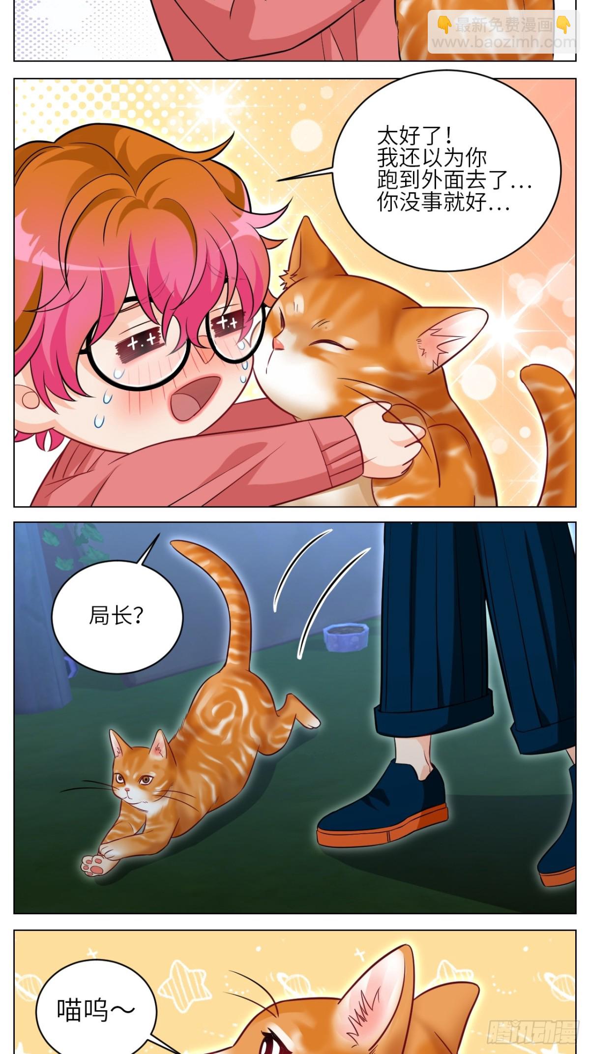 找到的可不止小猫咪4