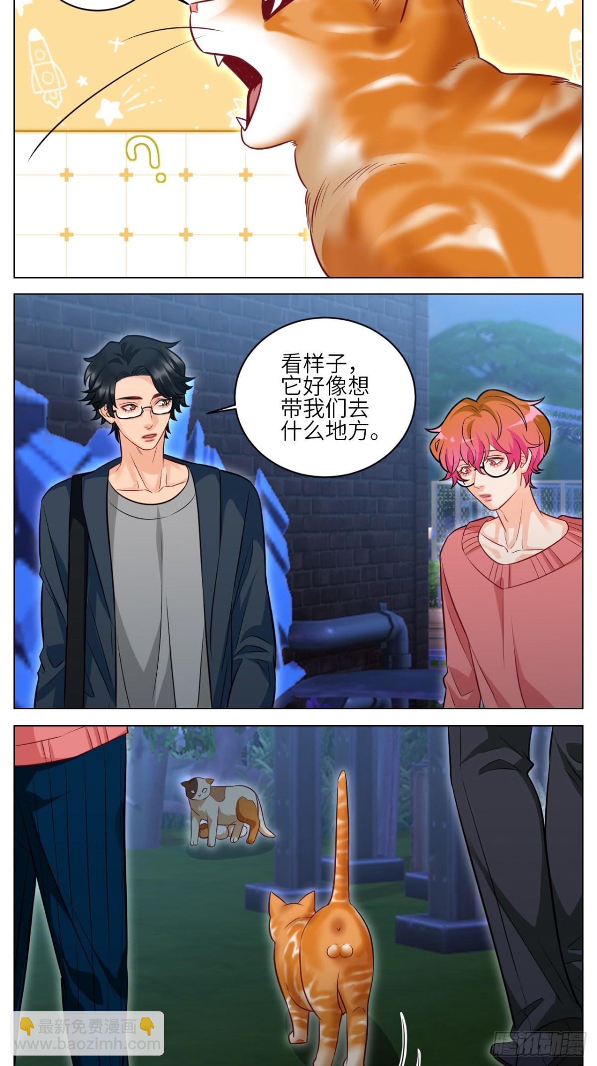 找到的可不止小猫咪5