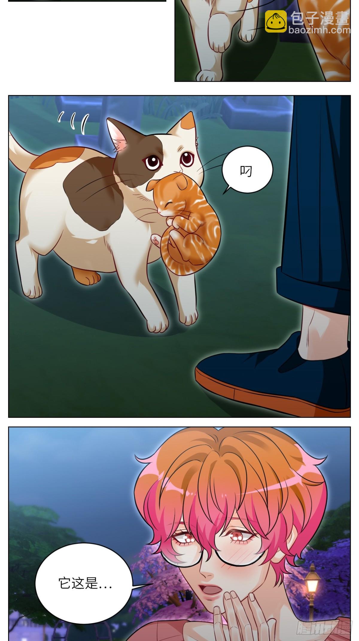 找到的可不止小猫咪7
