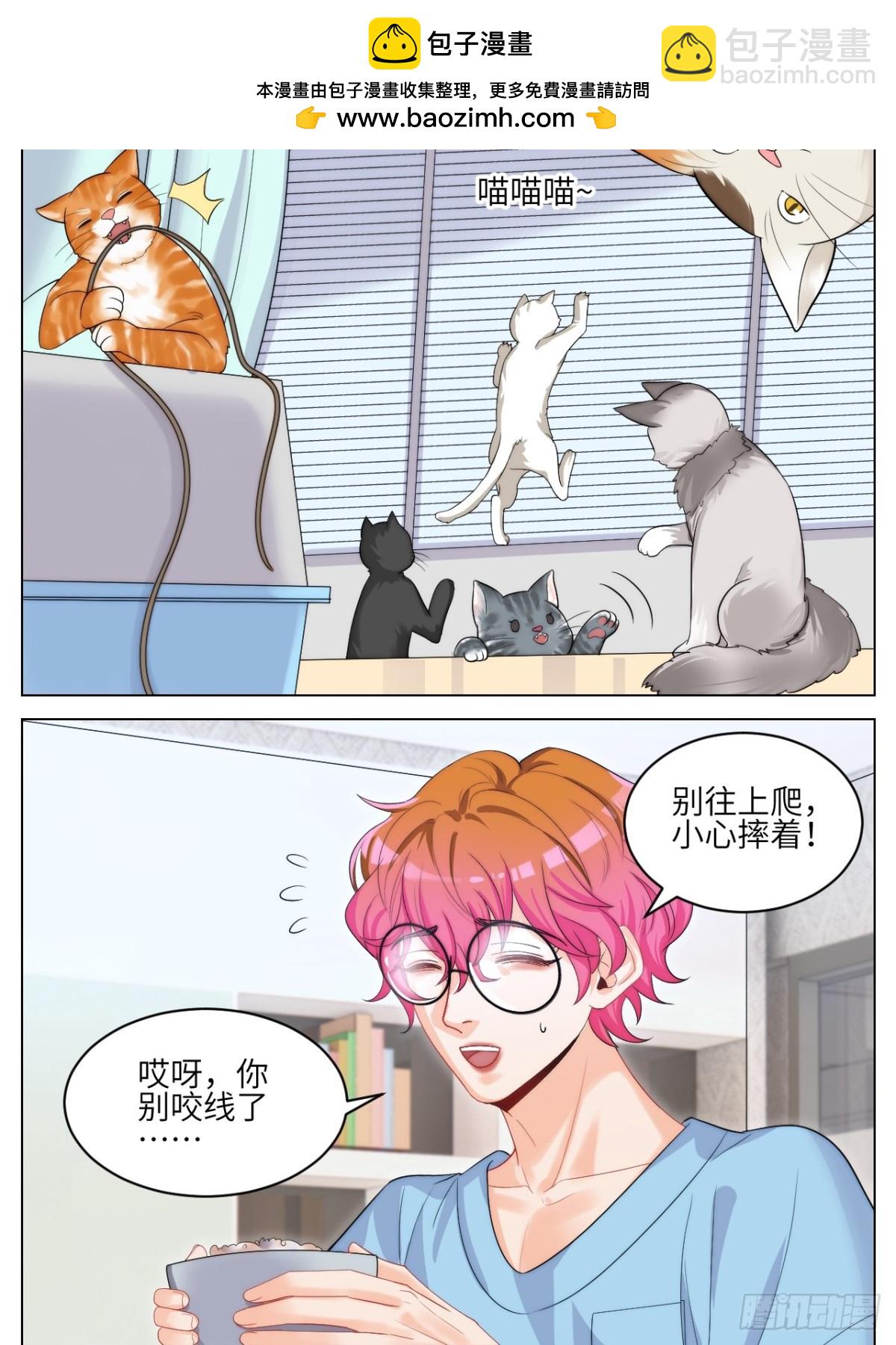 小猫咪们的小护士1