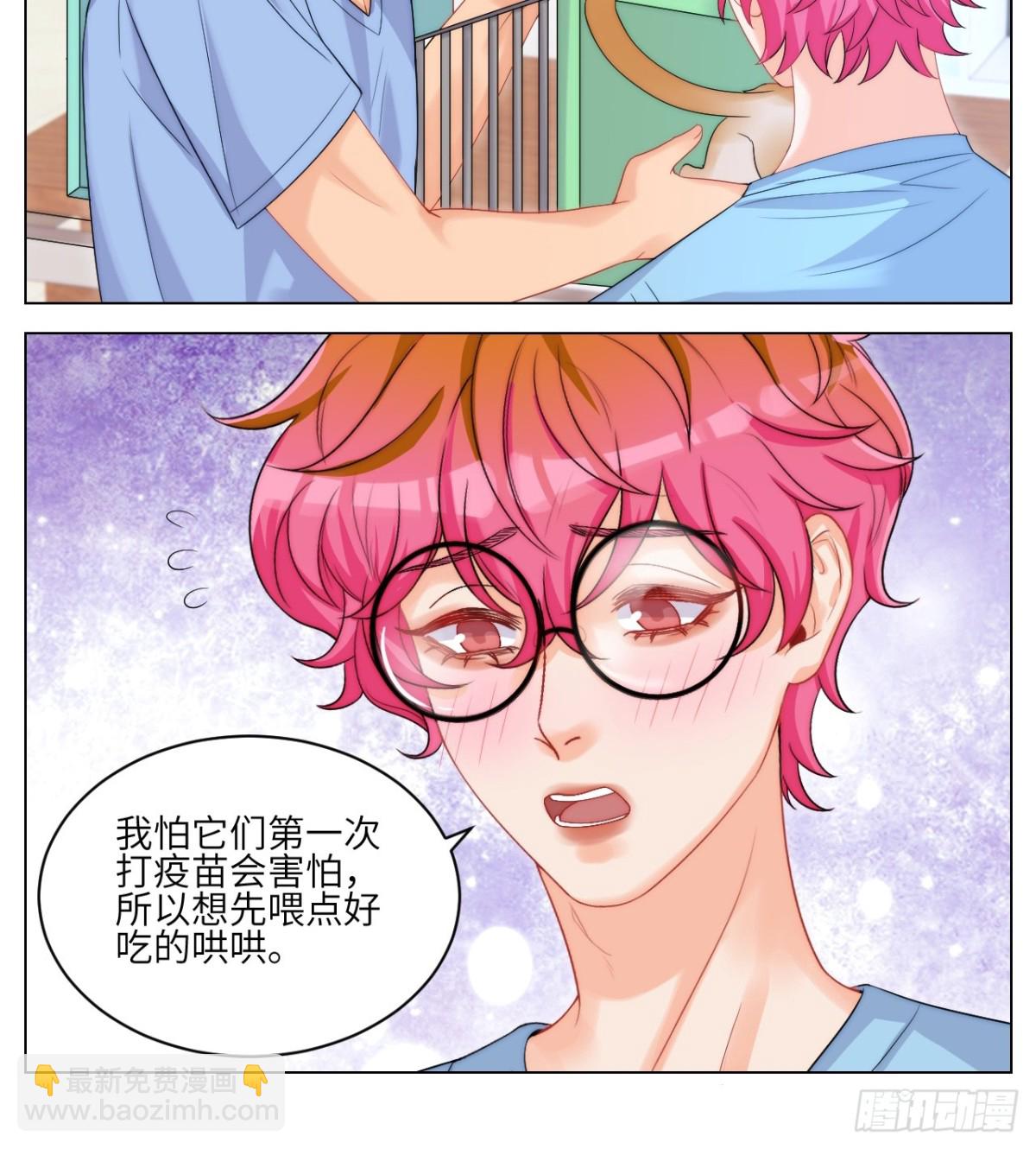 小猫咪们的小护士11