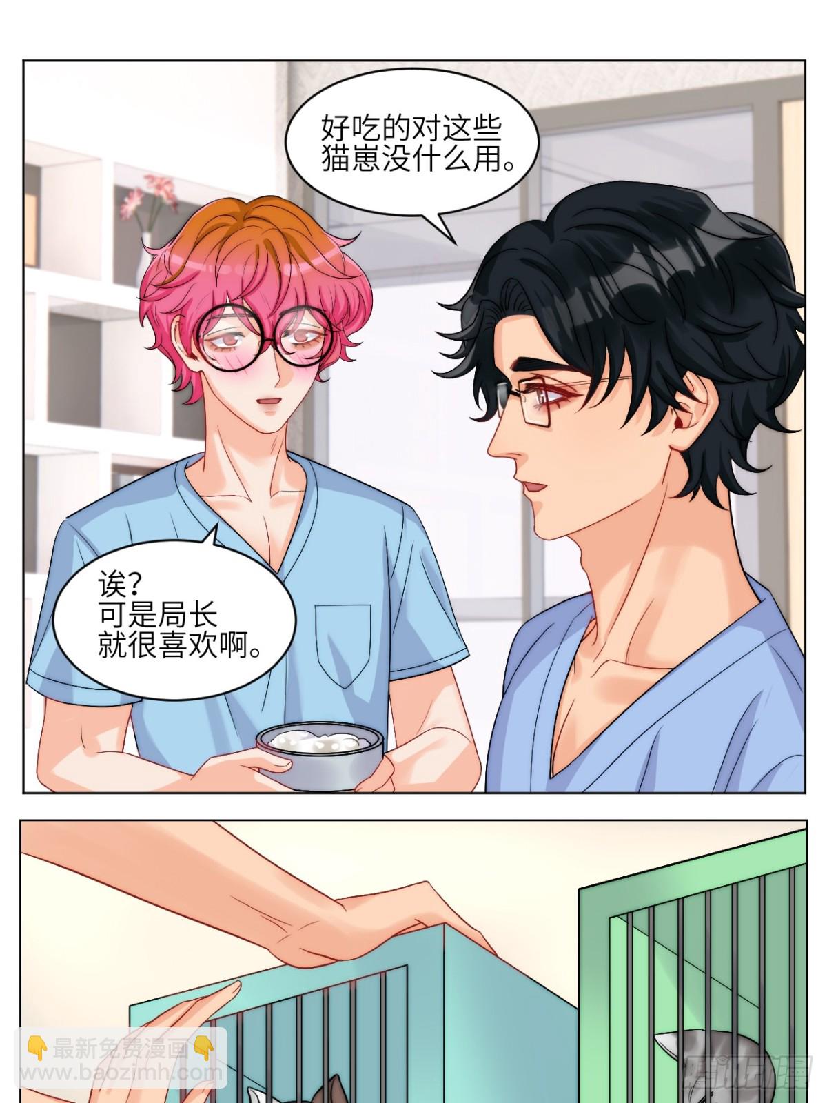 小猫咪们的小护士12
