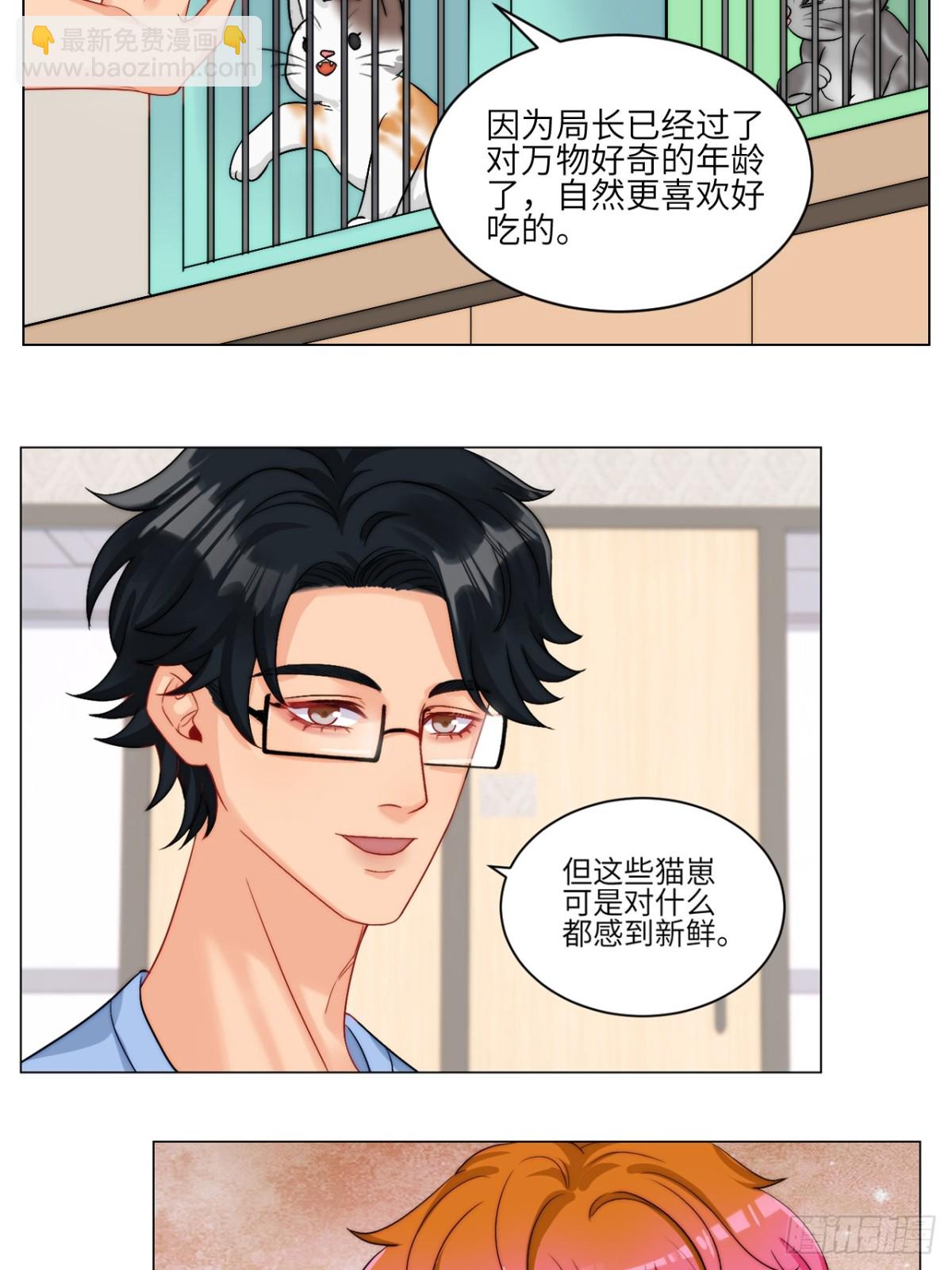 小猫咪们的小护士13