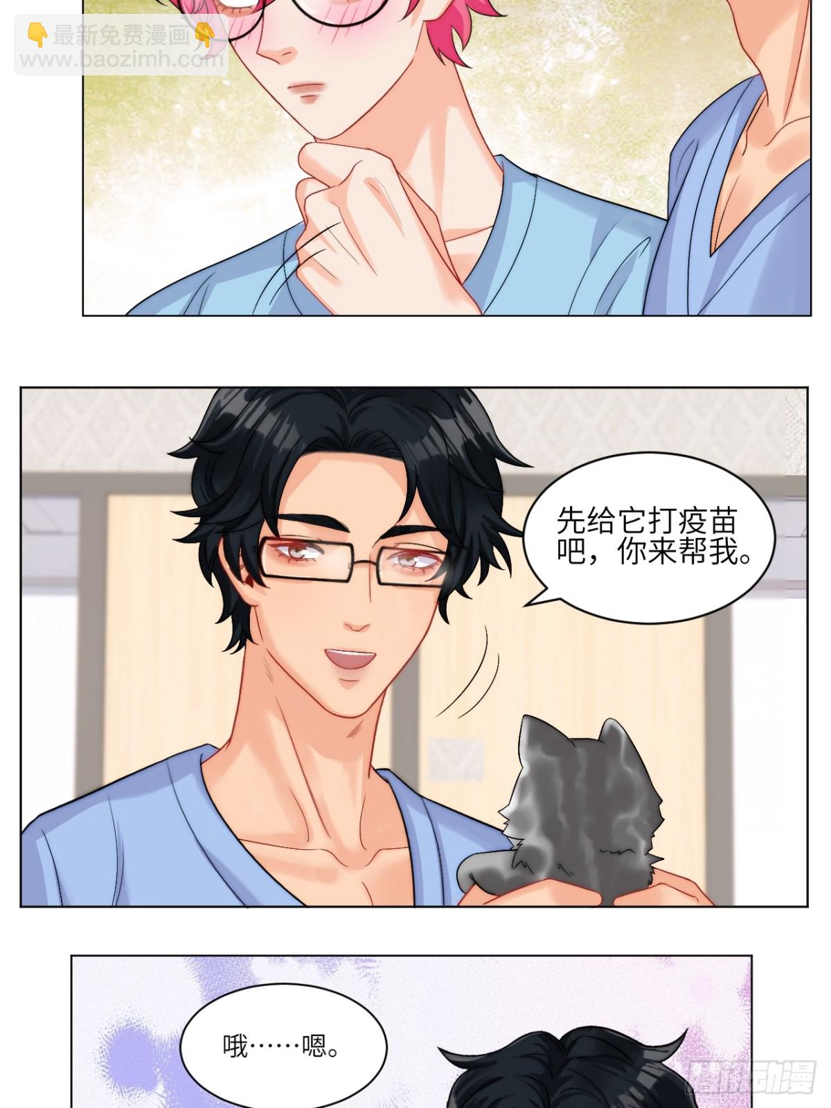 小猫咪们的小护士17
