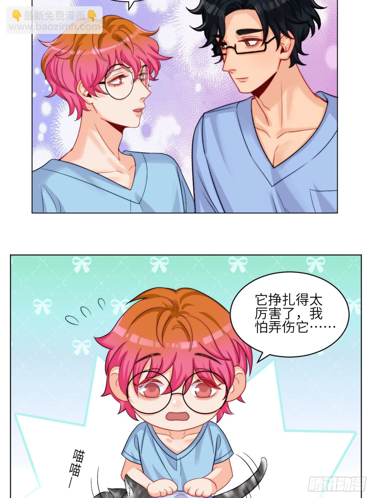小猫咪们的小护士18