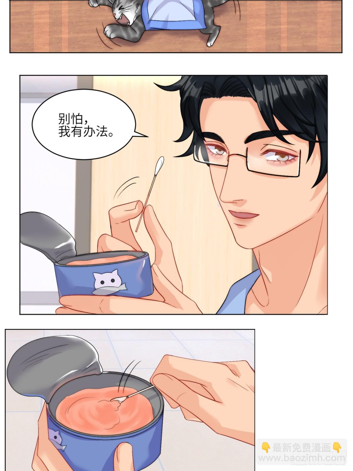 小猫咪们的小护士19