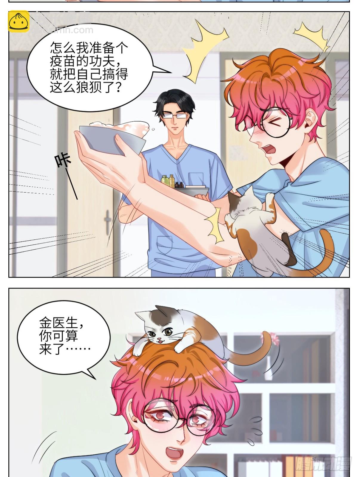 小猫咪们的小护士2