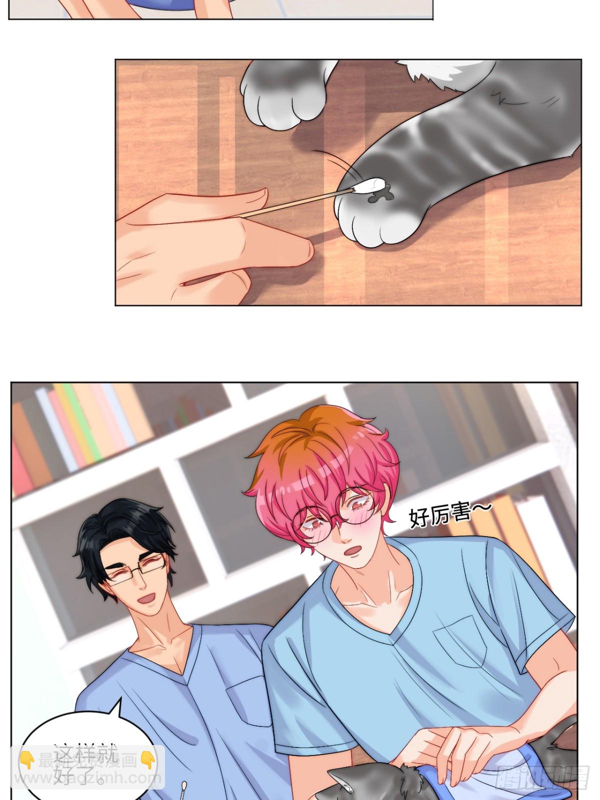 小猫咪们的小护士20