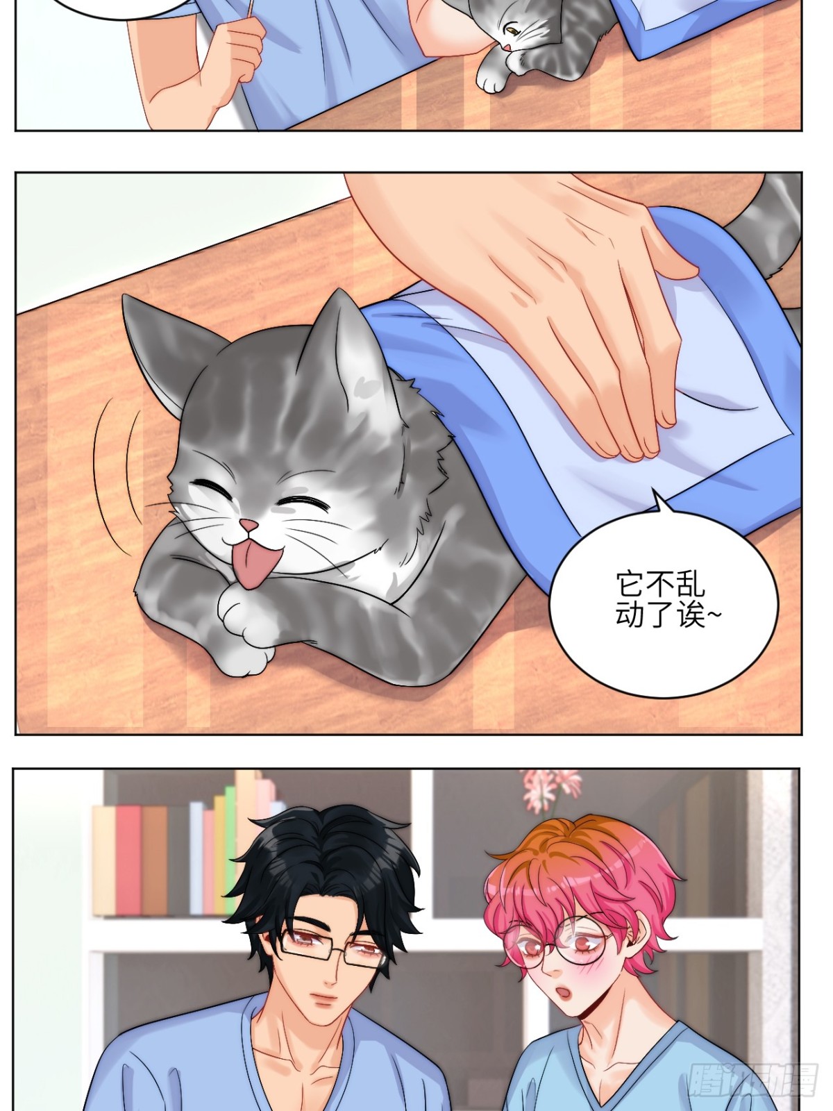 小猫咪们的小护士21