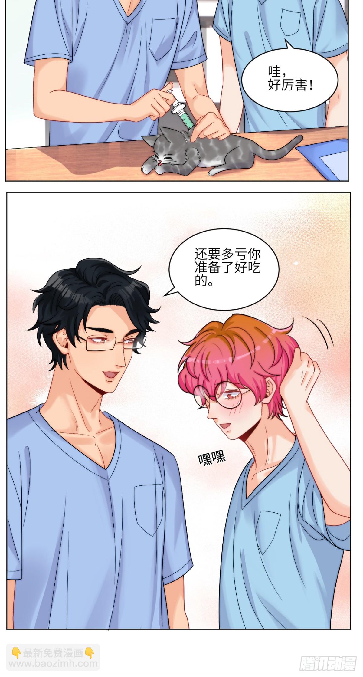 小猫咪们的小护士22