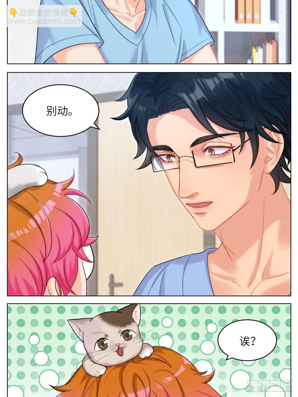 小猫咪们的小护士3