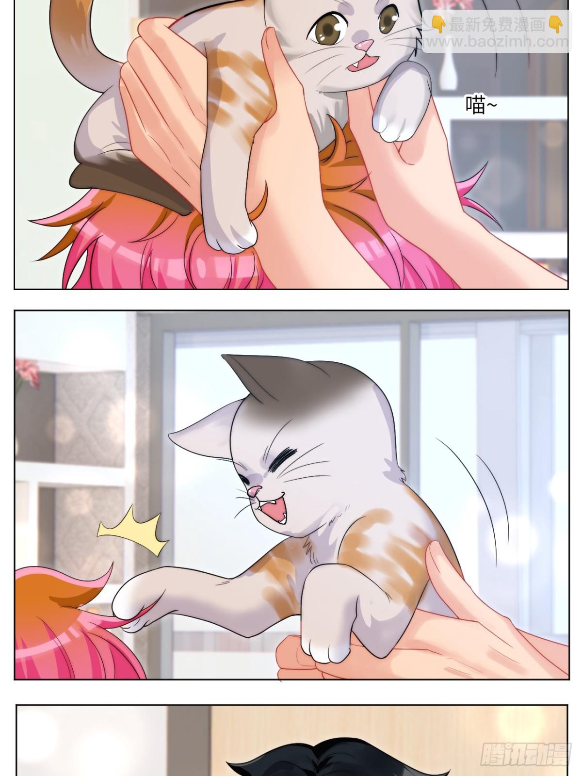 小猫咪们的小护士7