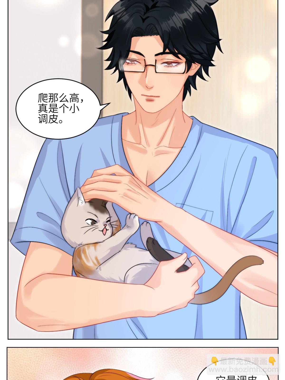 小猫咪们的小护士8