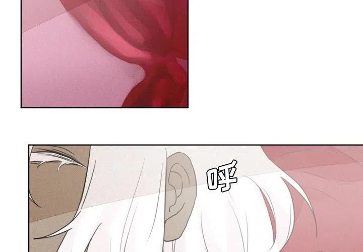 81