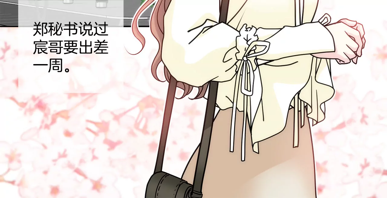 第47话 纪念2