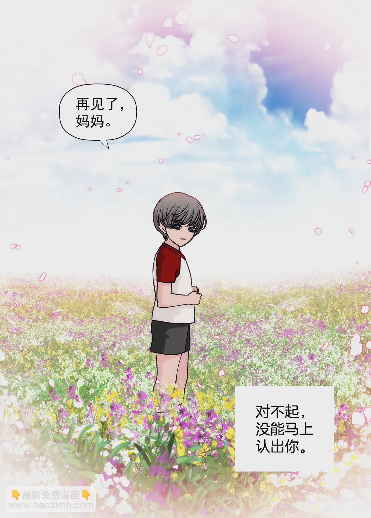 第248话 从来没有忘记你18