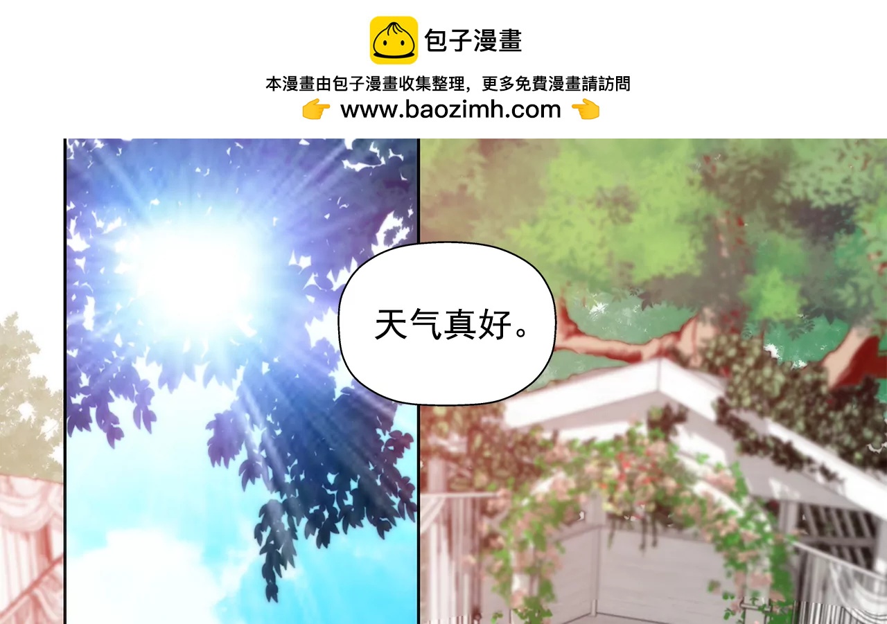第262话 婚礼1