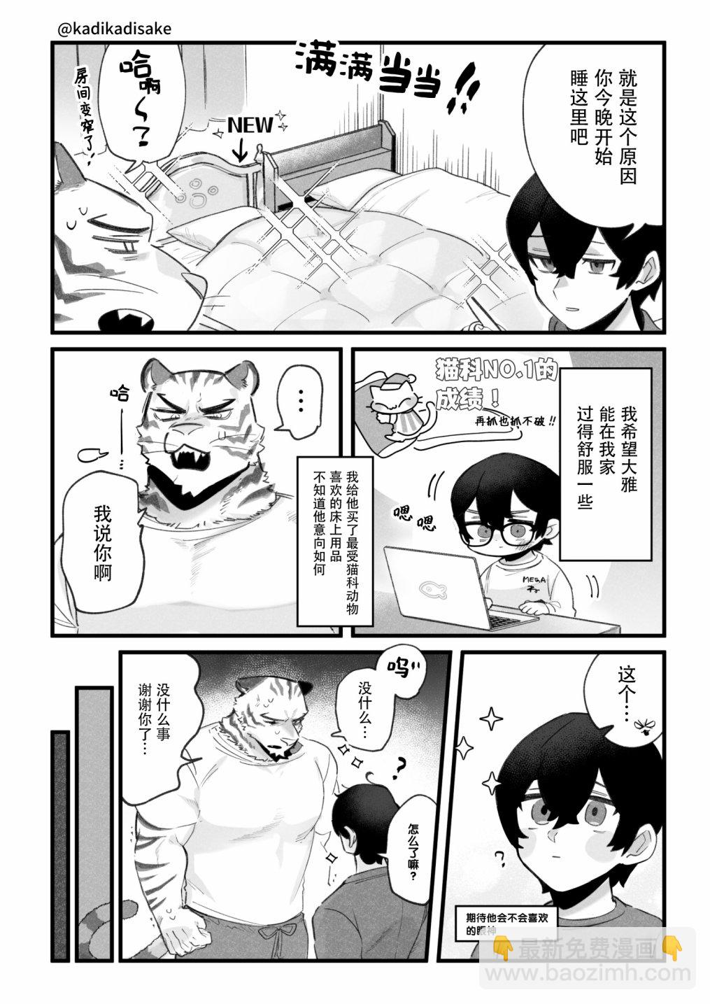 猫系男友22