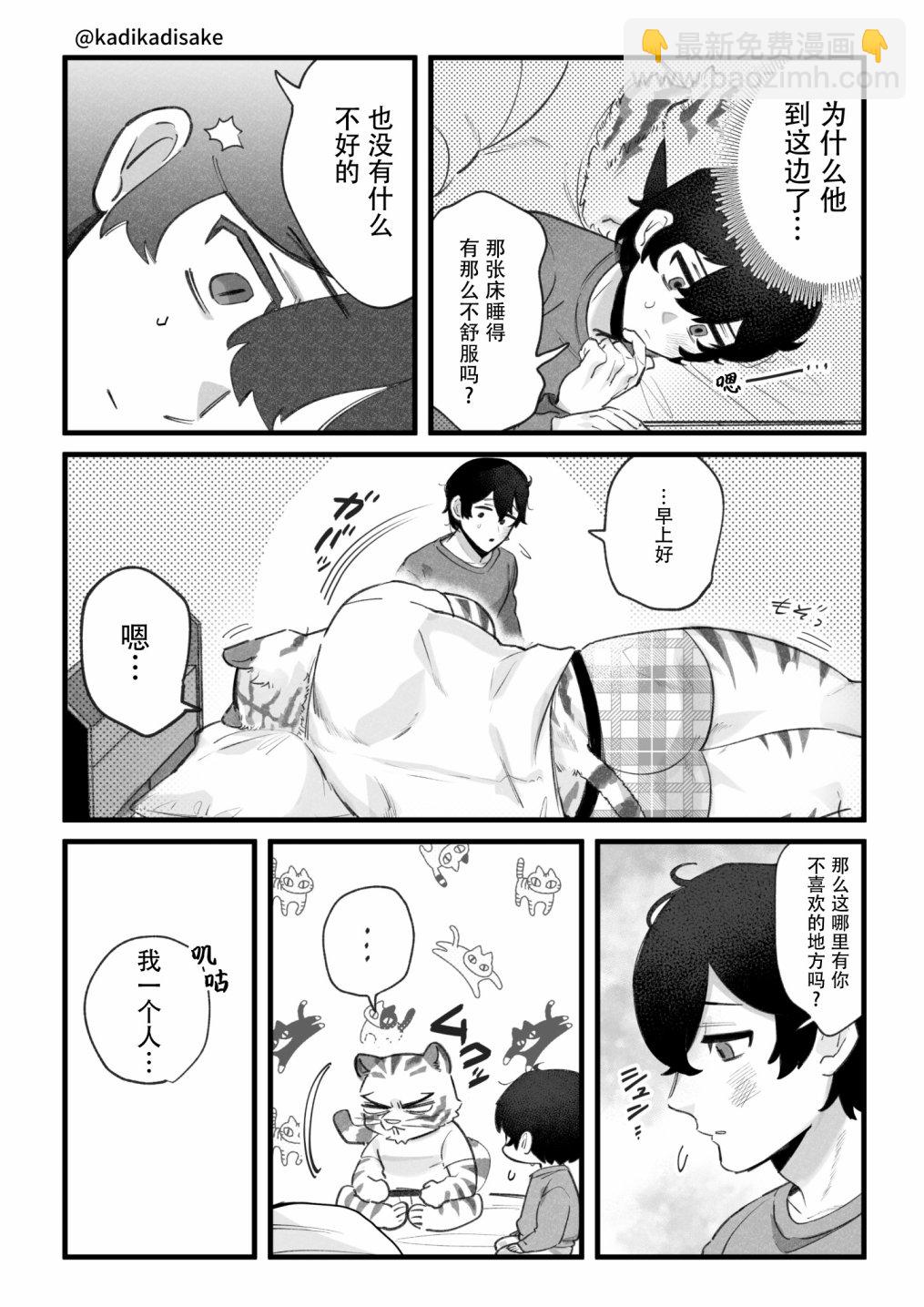 猫系男友24