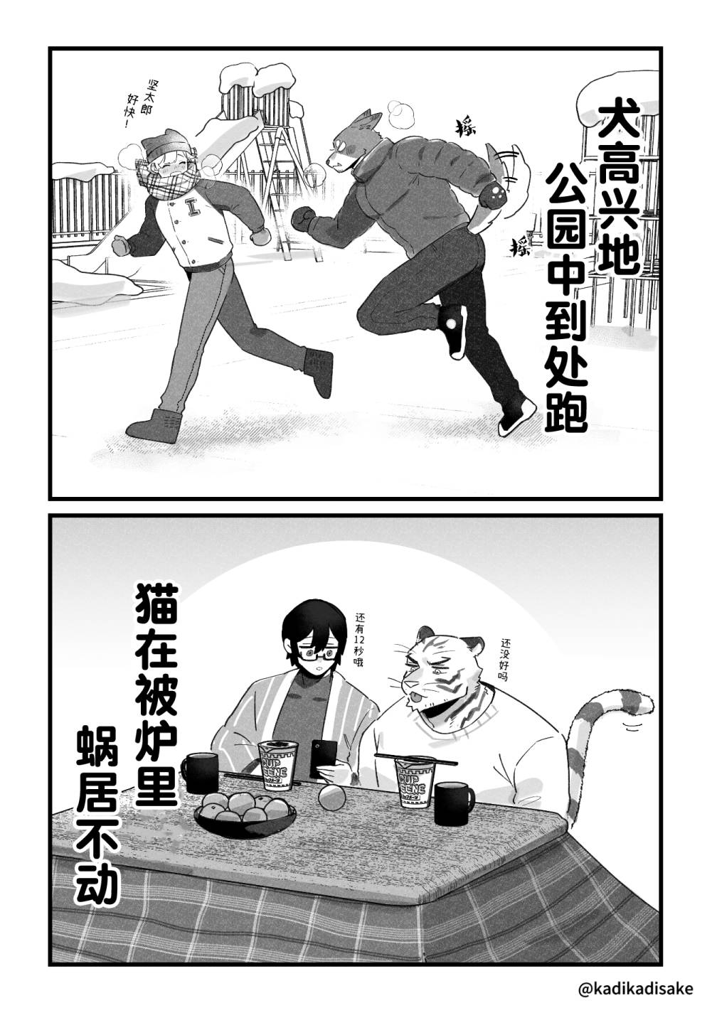 元旦的犬猫兔2