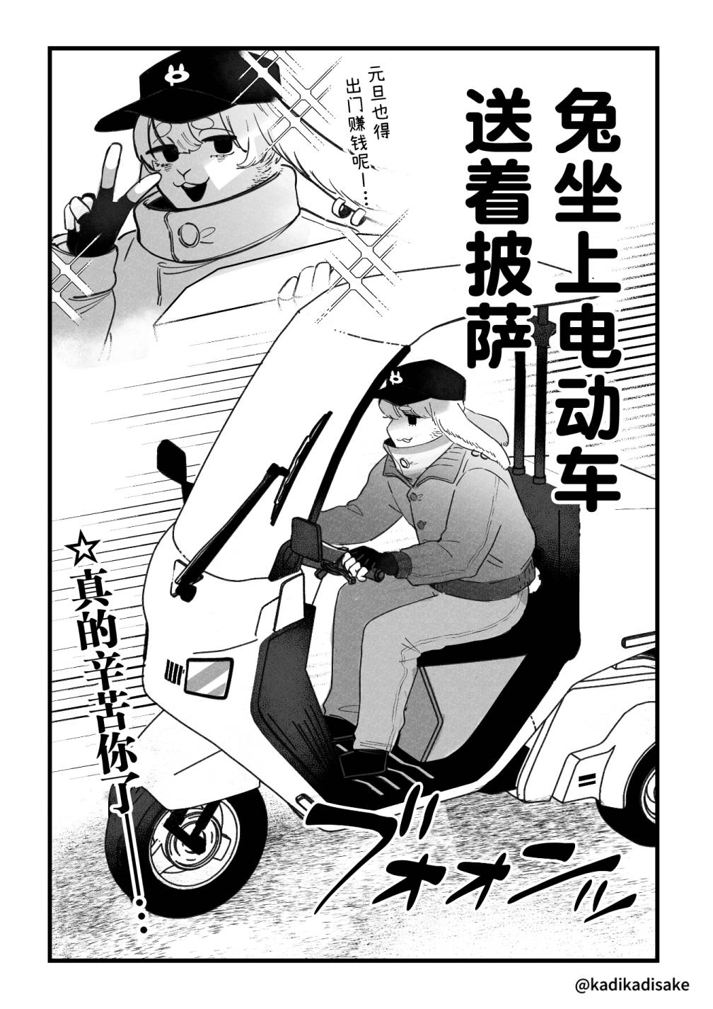 元旦的犬猫兔3