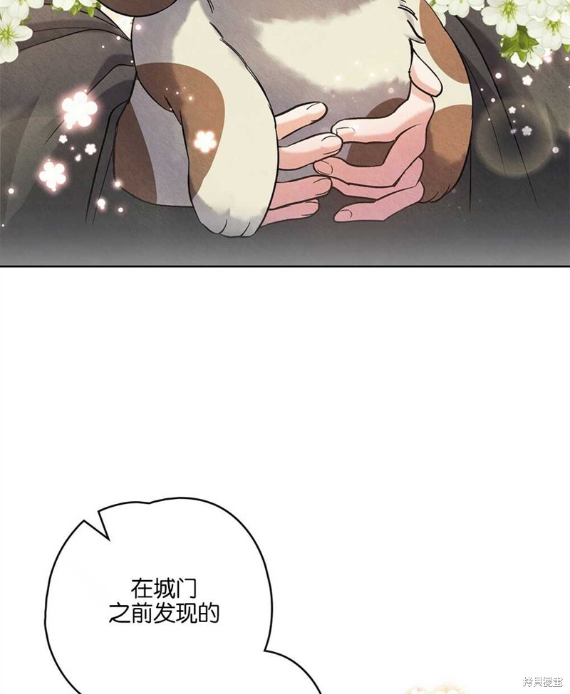 第33话29
